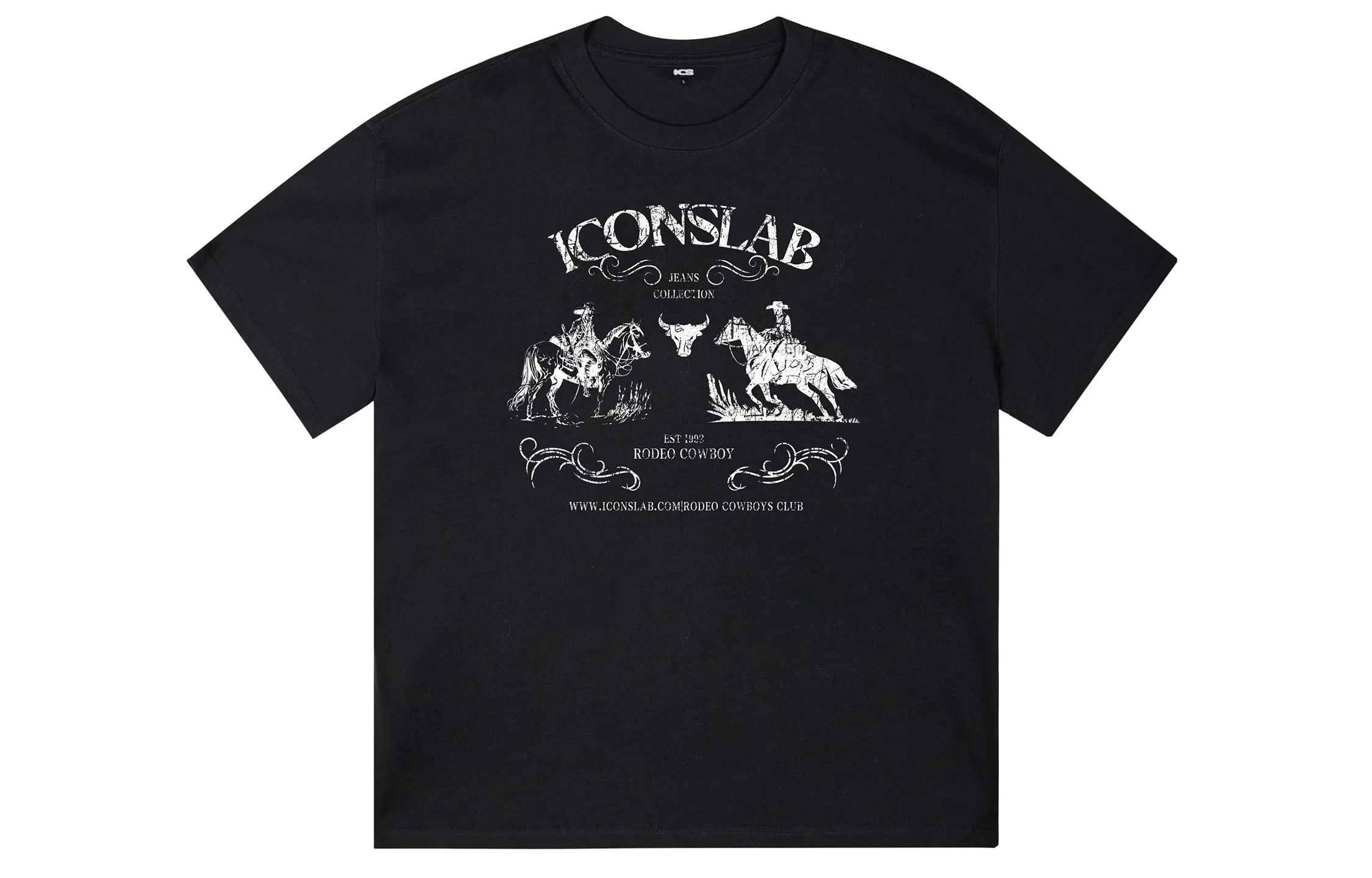 ICONS Lab ICS T
