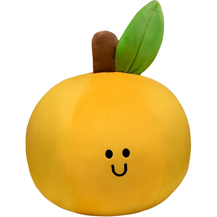 16cm43cm