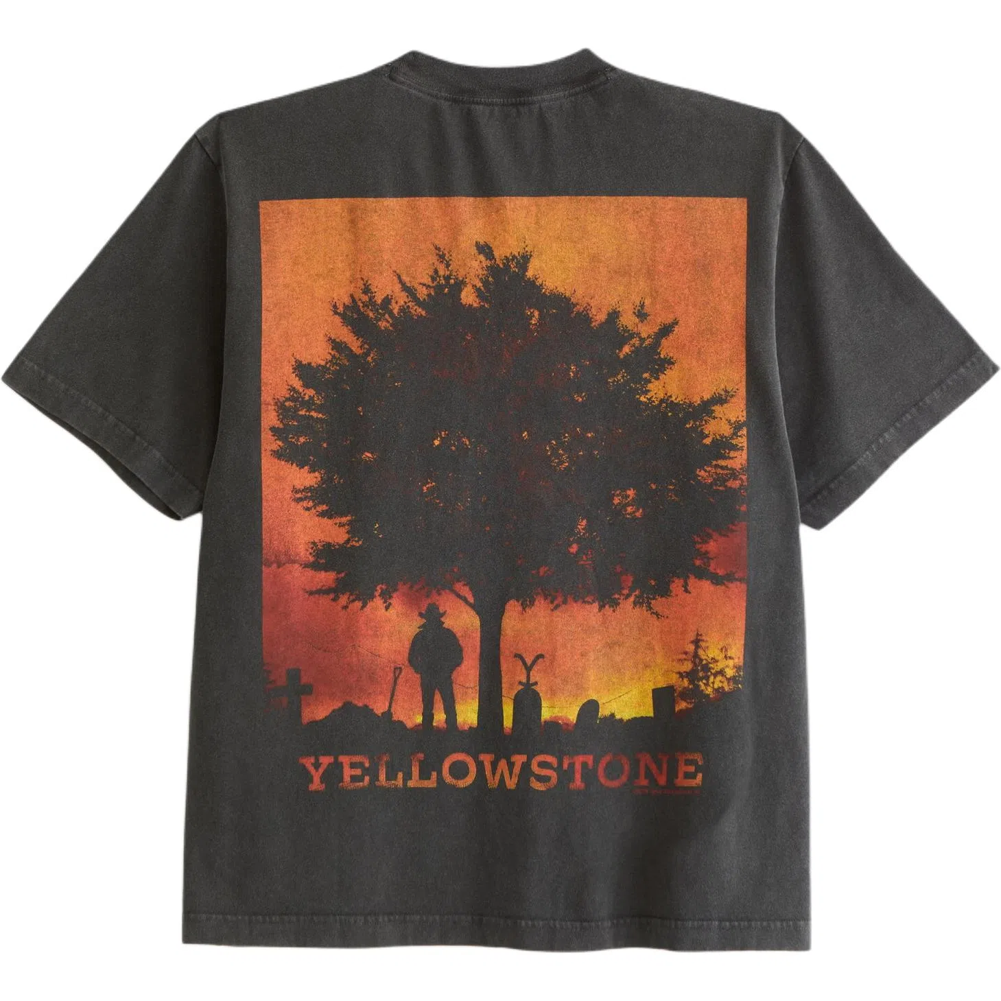 AbercrombieFitch T