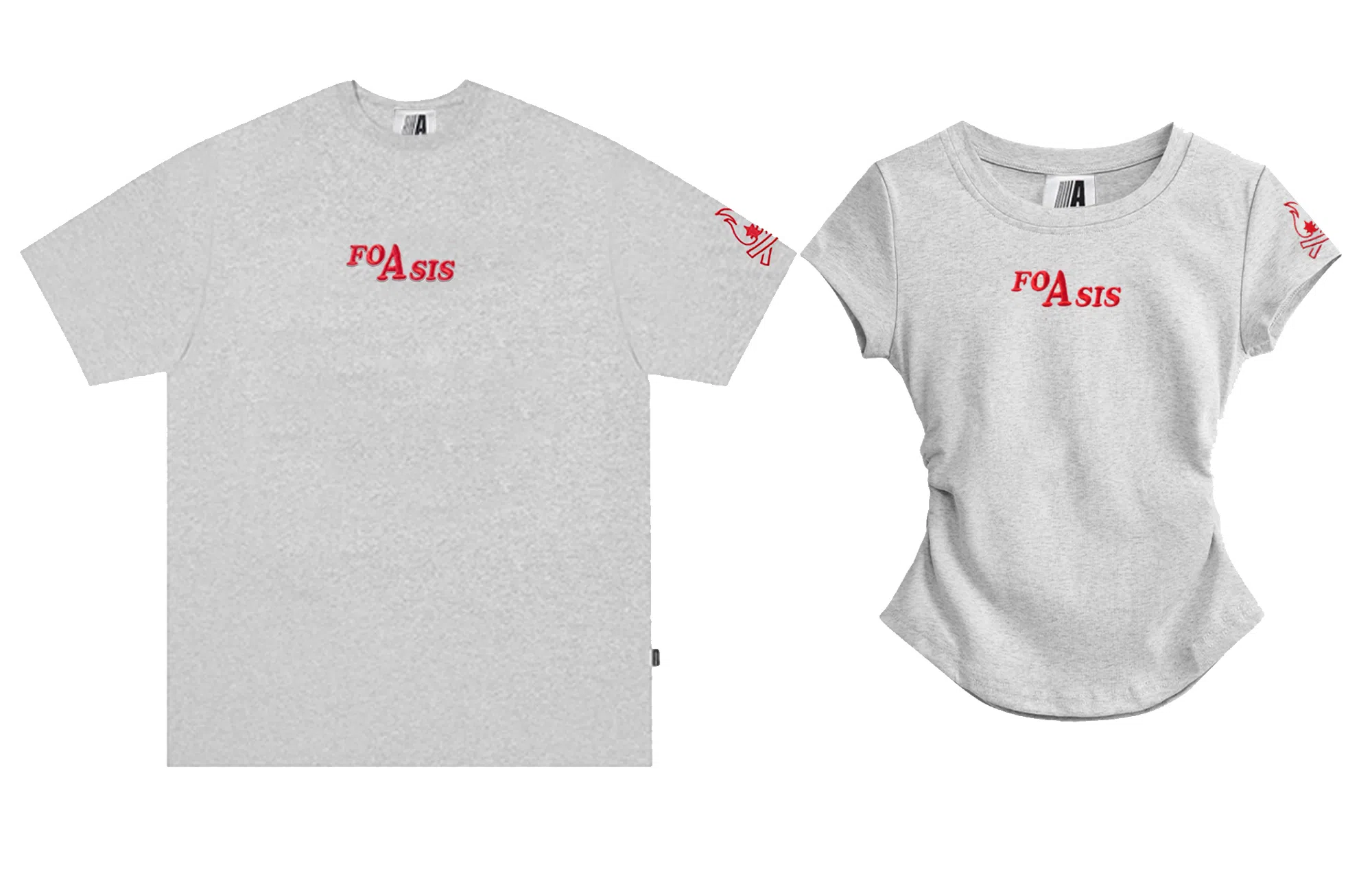 FOASIS LogoTT