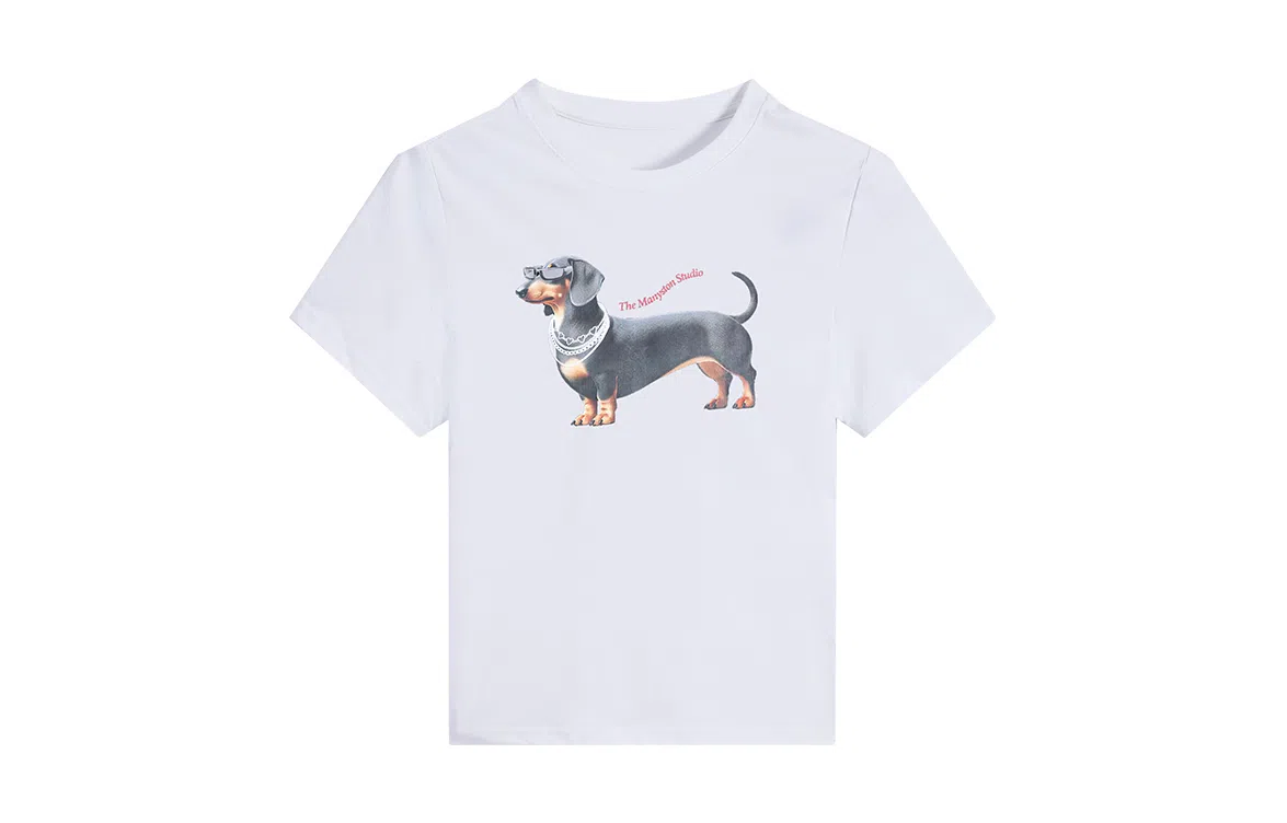 MANYSTON T