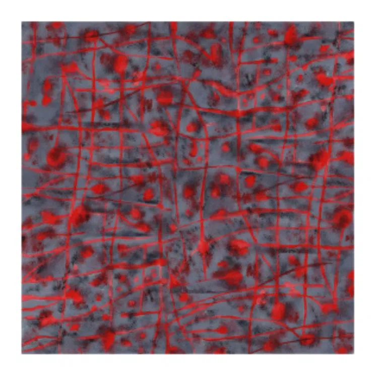 浙锦 意大利设计式方巾防晒 丝巾 女款