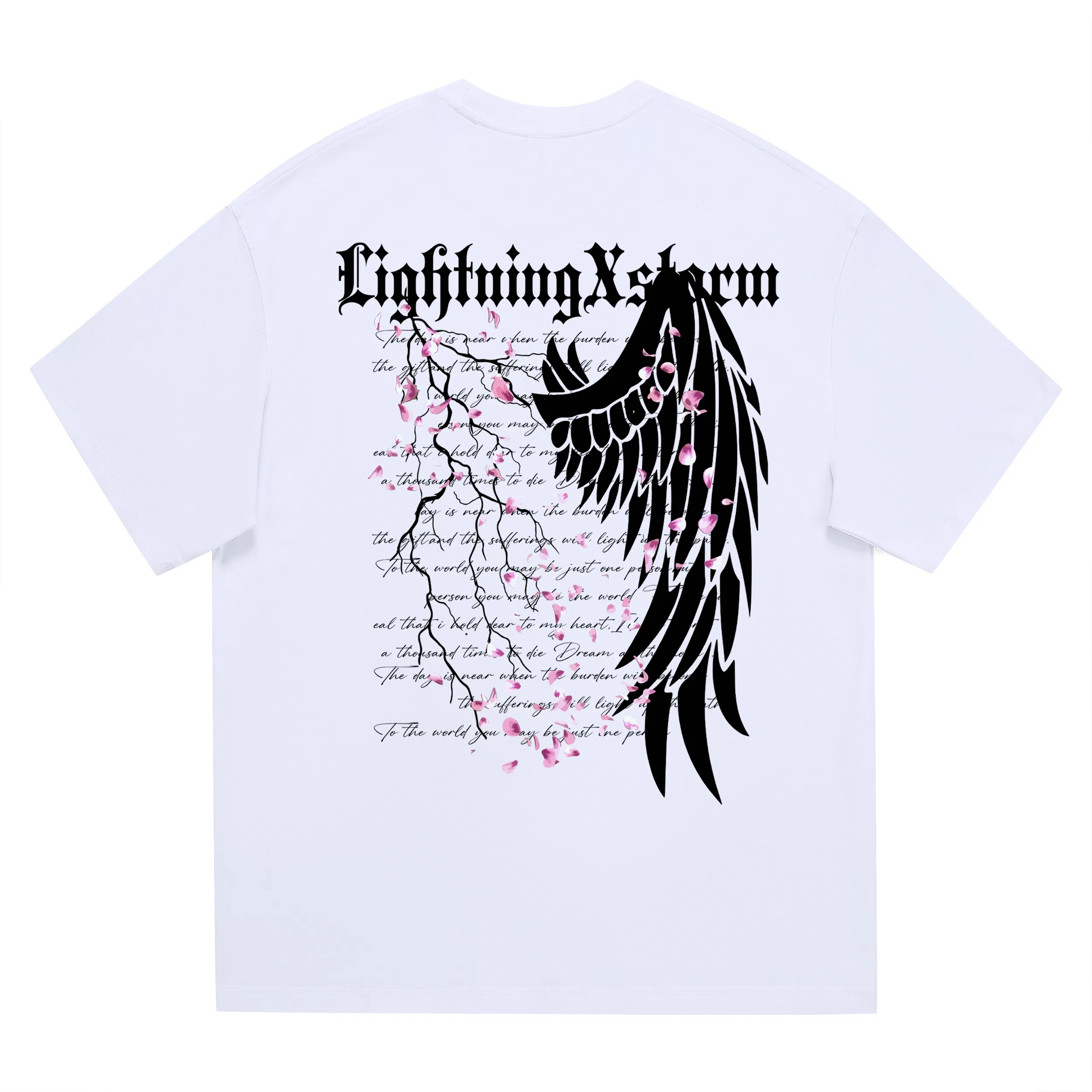 Lightning X Storm LOGOT