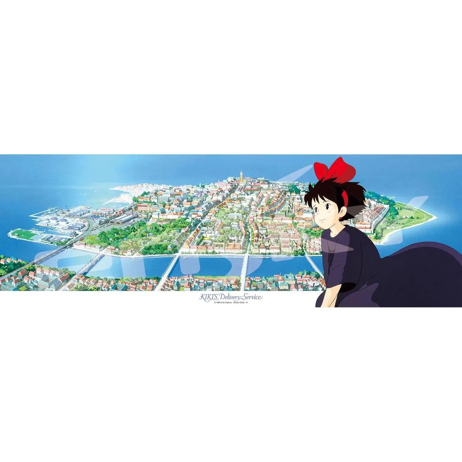 ENSKY 950pcs 4970381195892