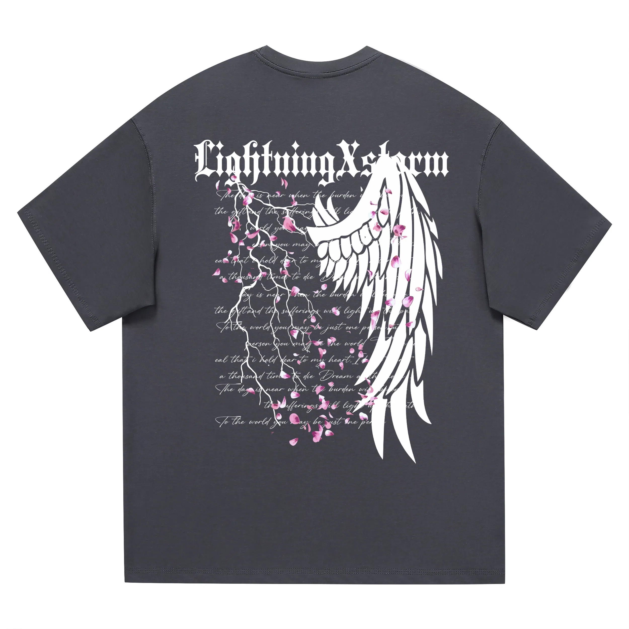 Lightning X Storm LOGOT