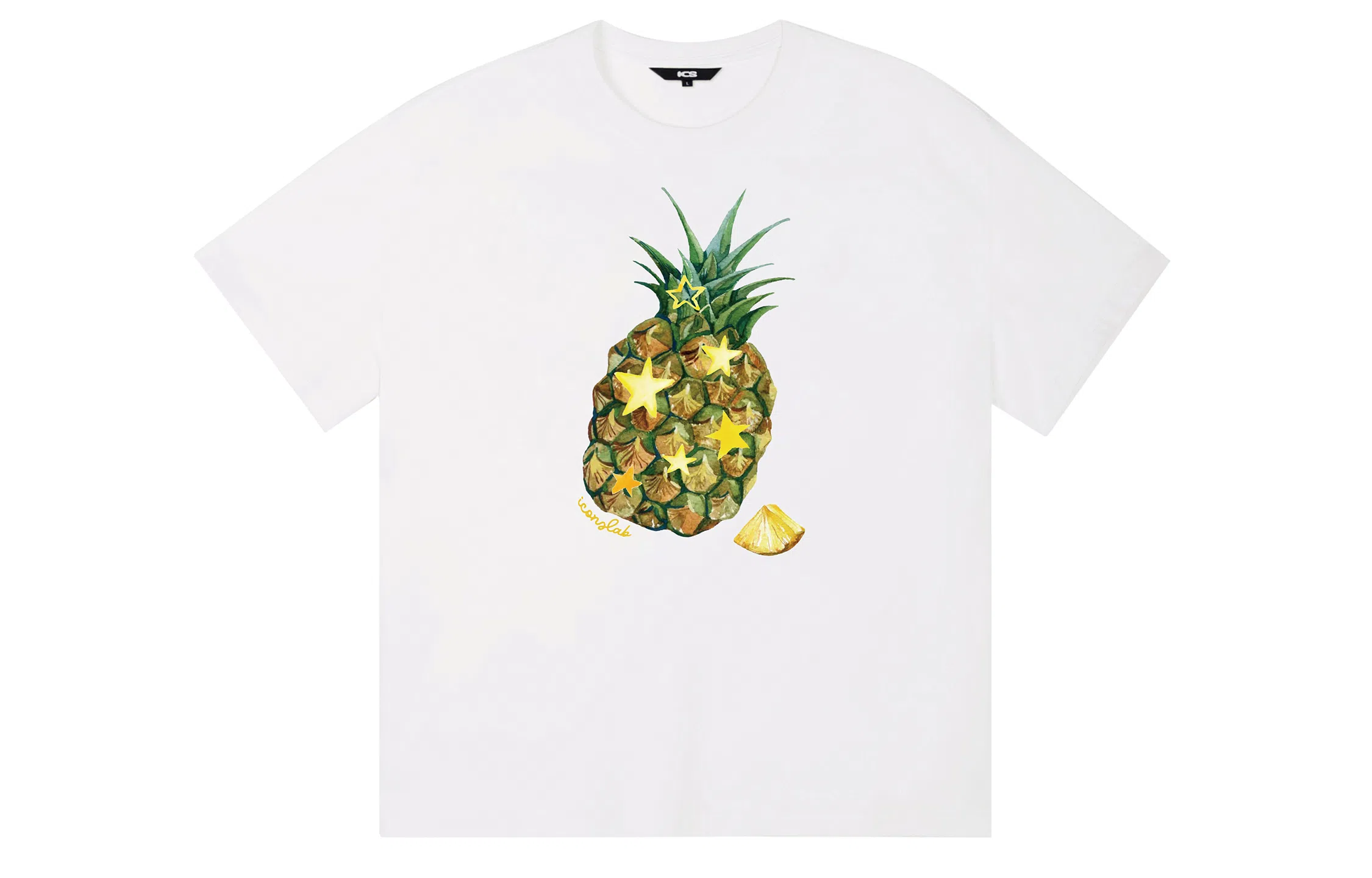 ICONS Lab ICS T