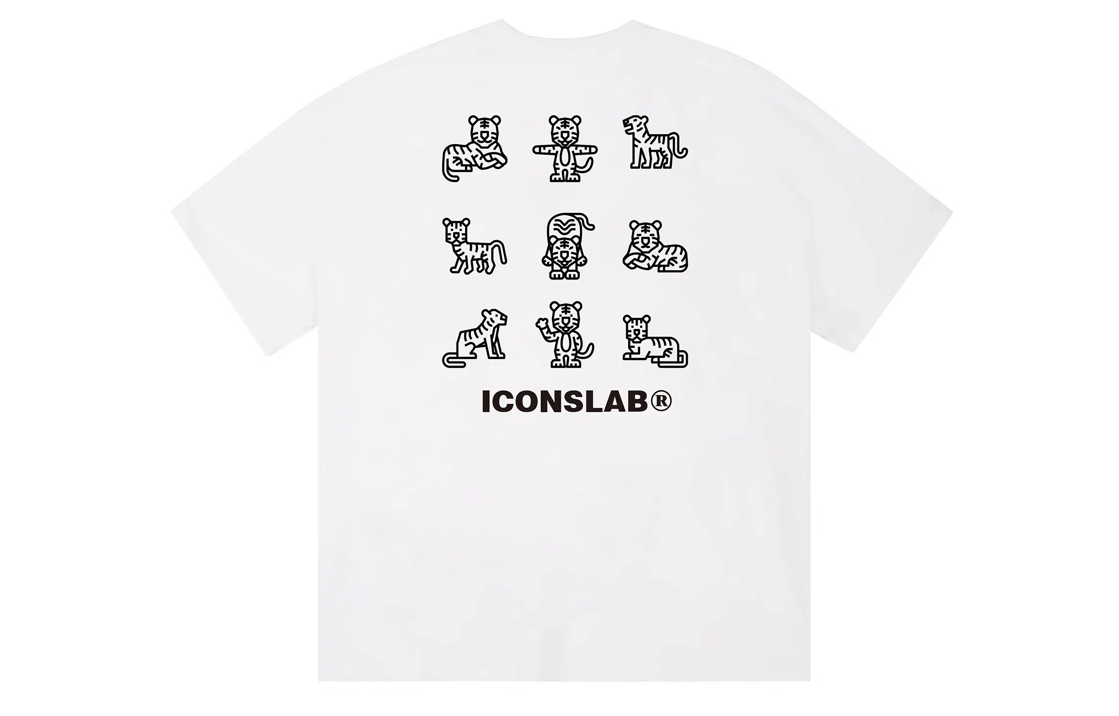 ICONS Lab ICS T