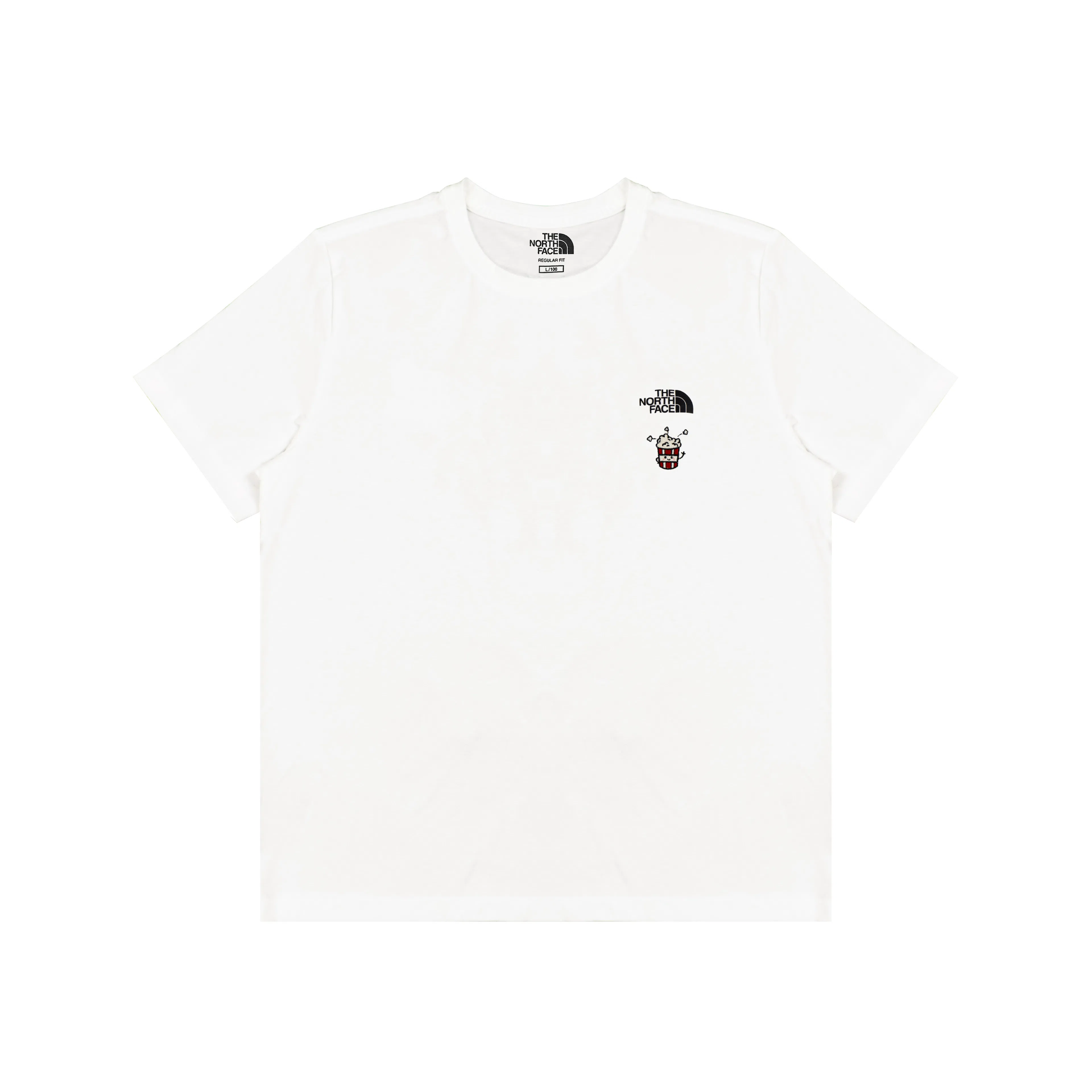 THE NORTH FACE logoT