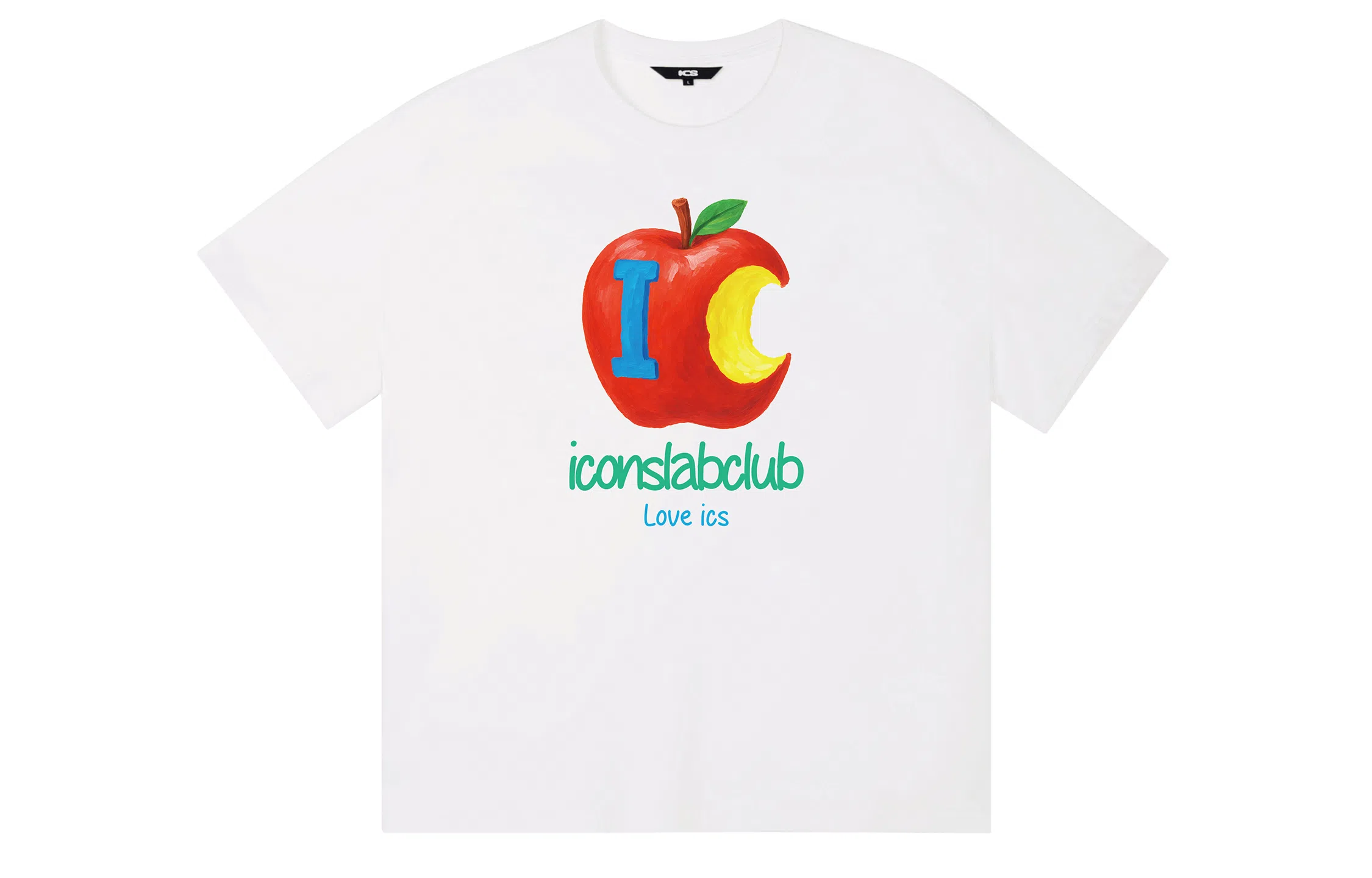 ICONS Lab ICS T