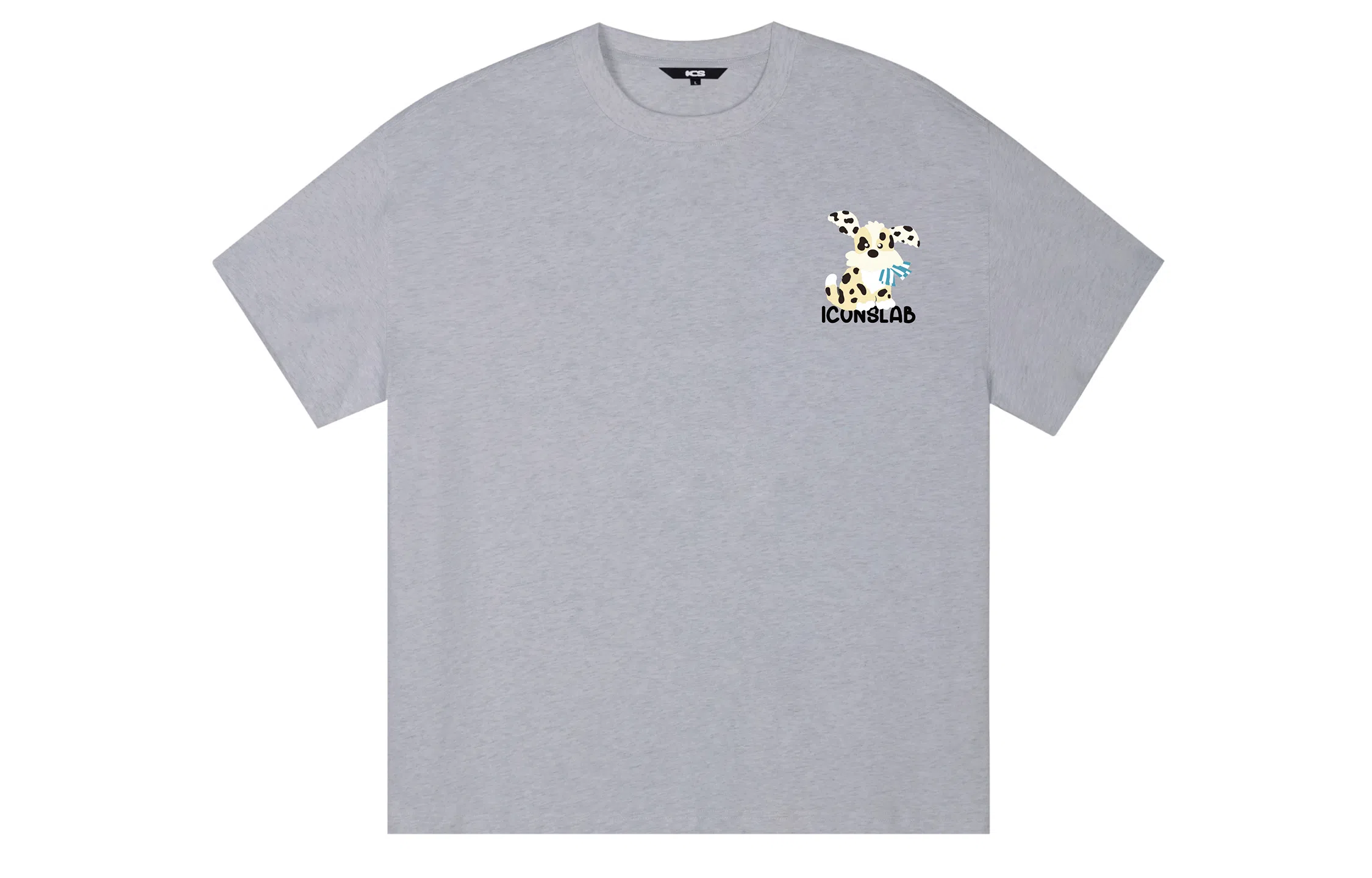 ICONS Lab ICS T