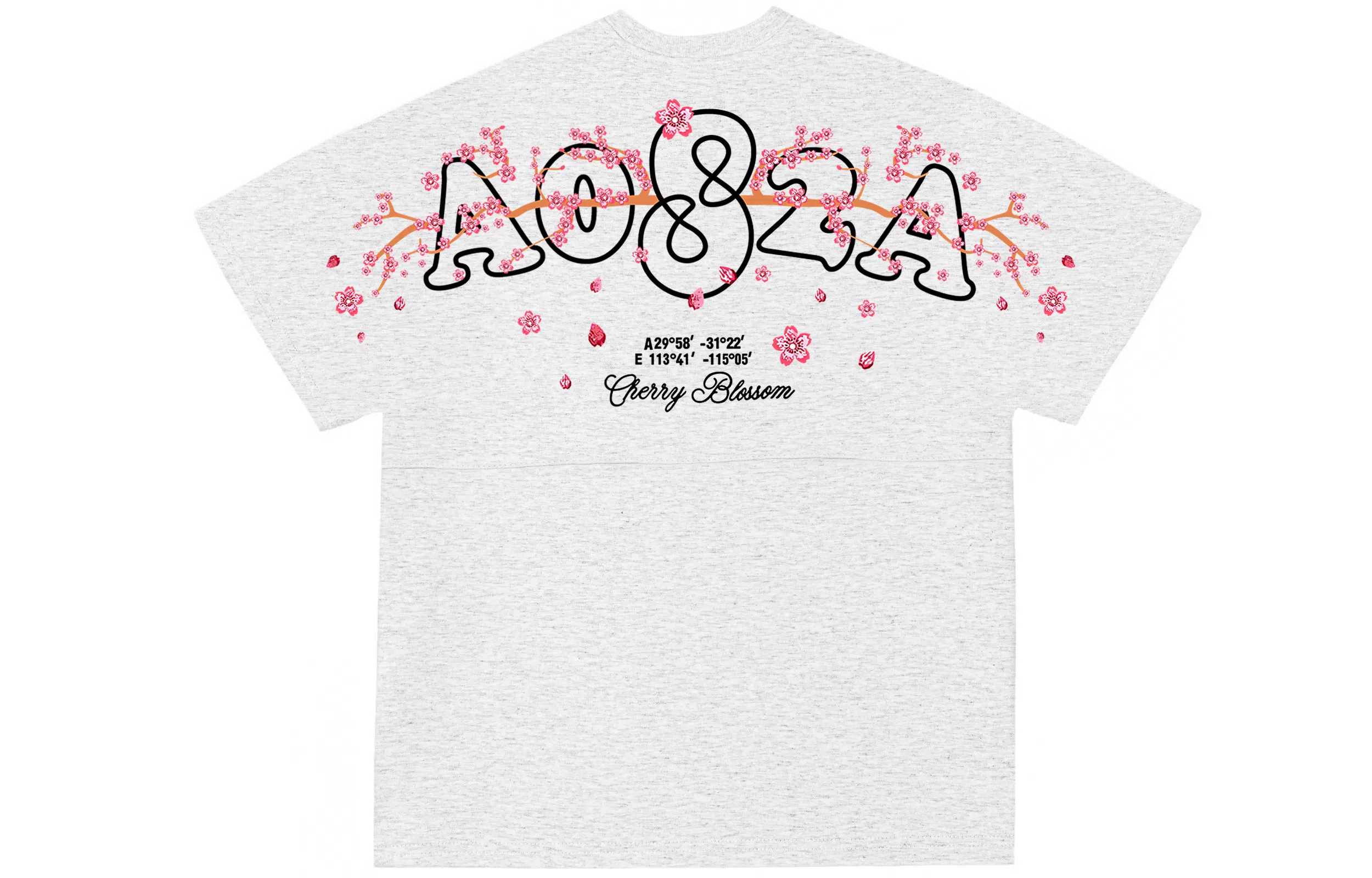 a02 LogoT