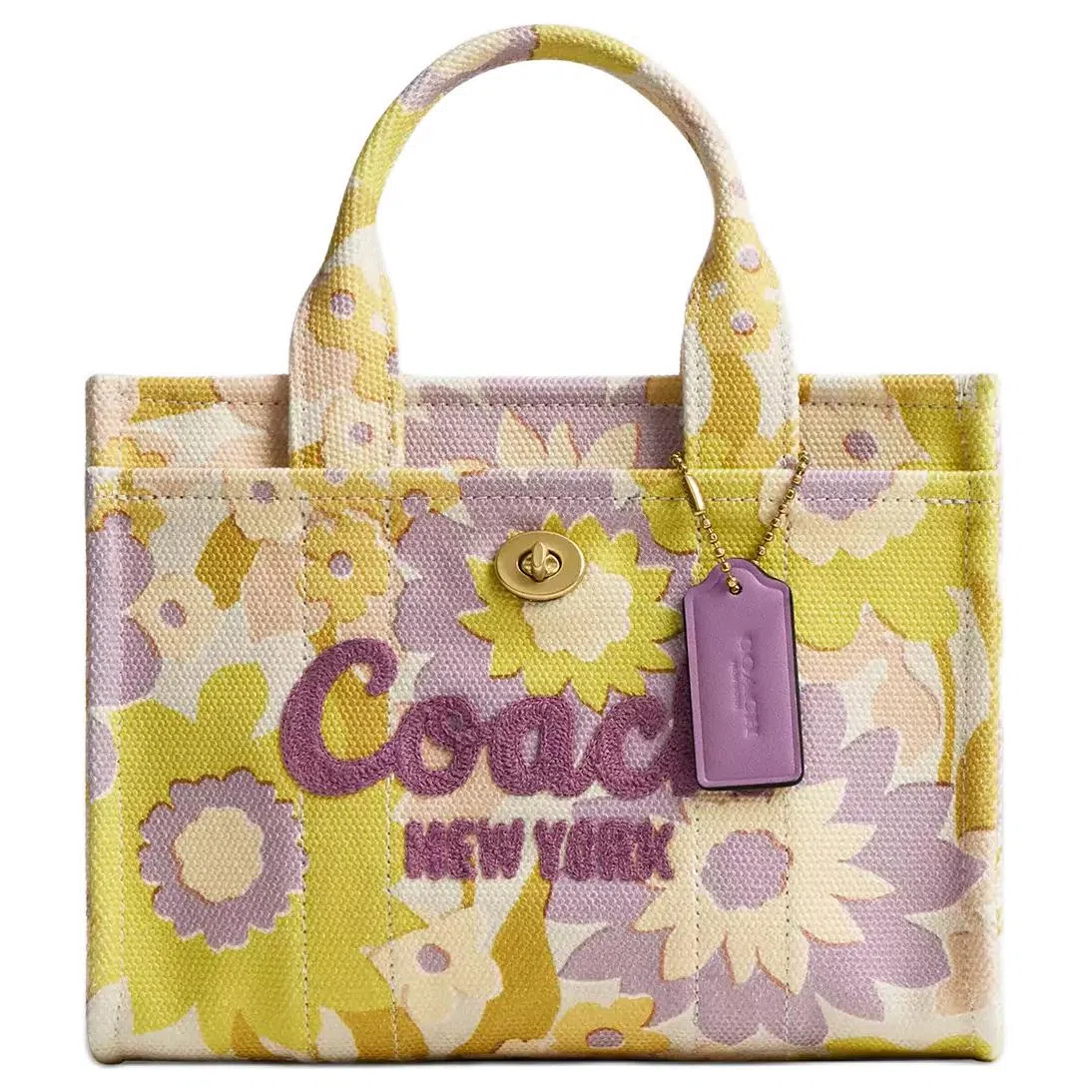COACH Cargo 20 Tote