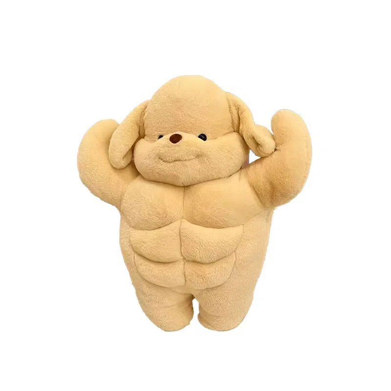 35cm50cm