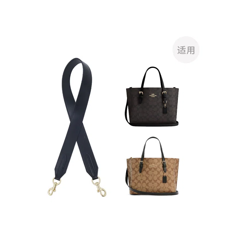 COACH Mollie 25 Tote