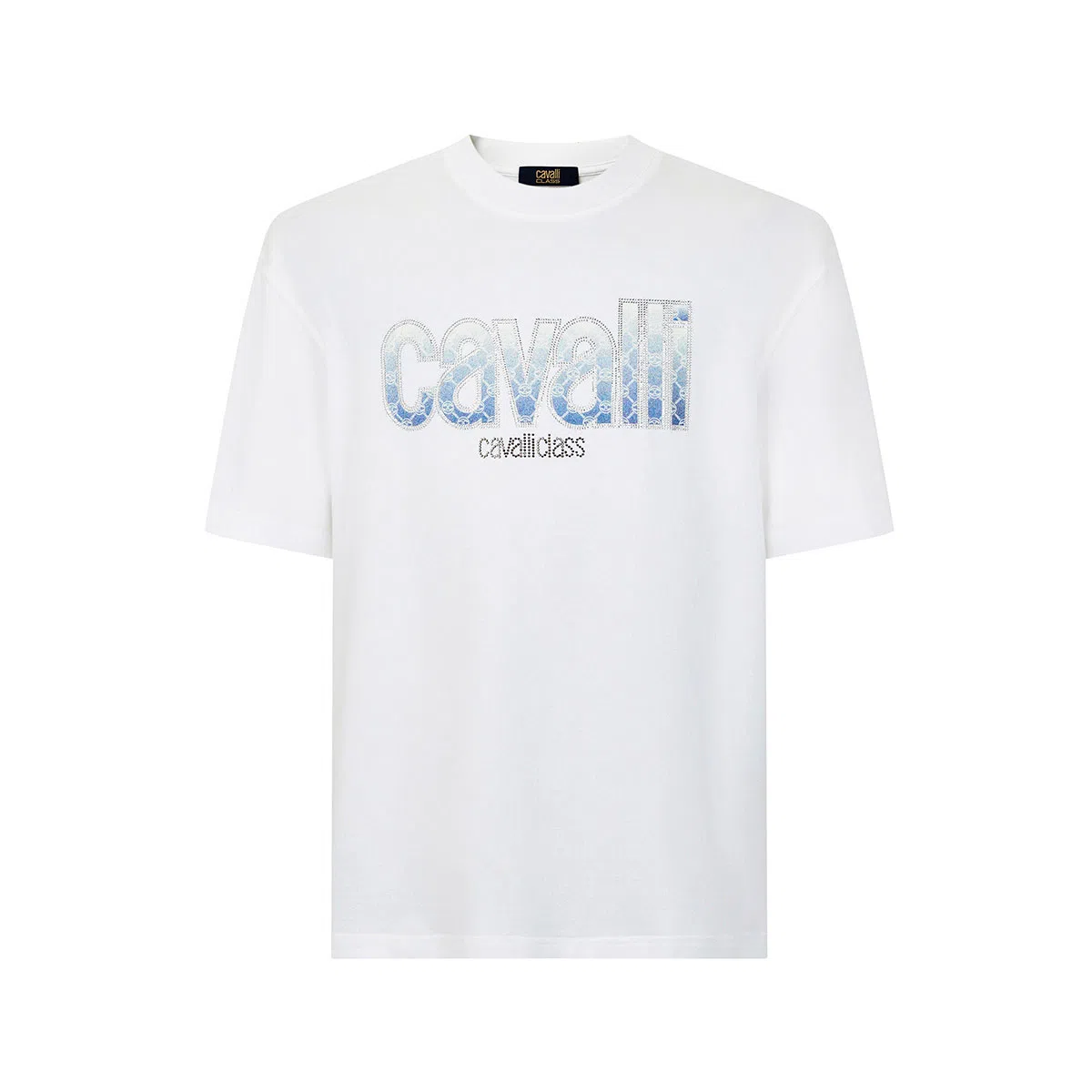 Cavalli Class T