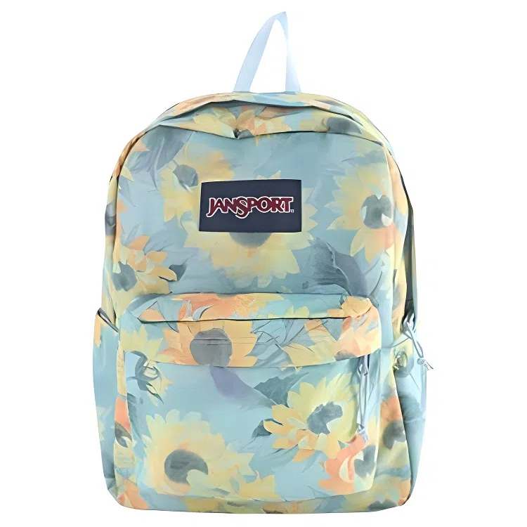 JanSport 26L