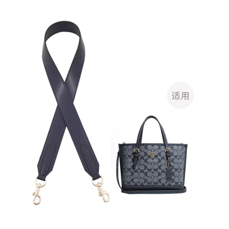 COACH Mollie 25 Tote