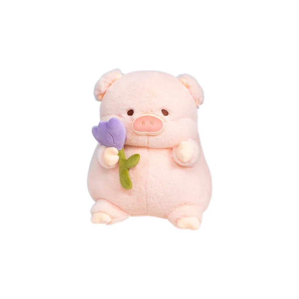 20cm30cm