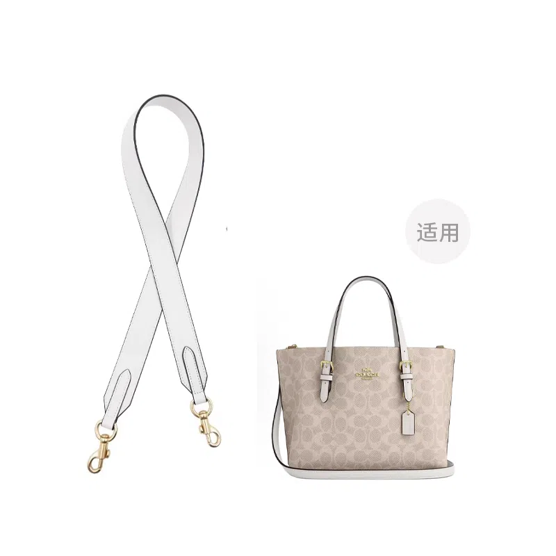 COACH Mollie 25 Tote