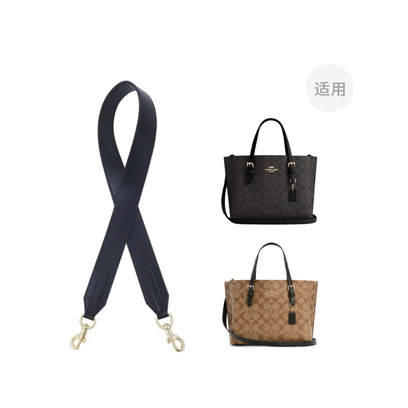 COACH Mollie 25 Tote