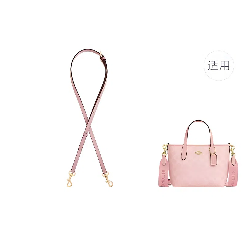 jingxi city15 coach mini