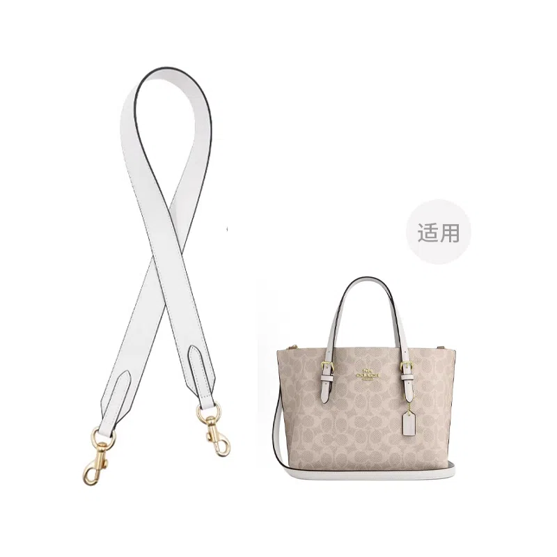 COACH Mollie 25 Tote