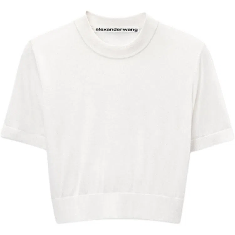 alexander wang T