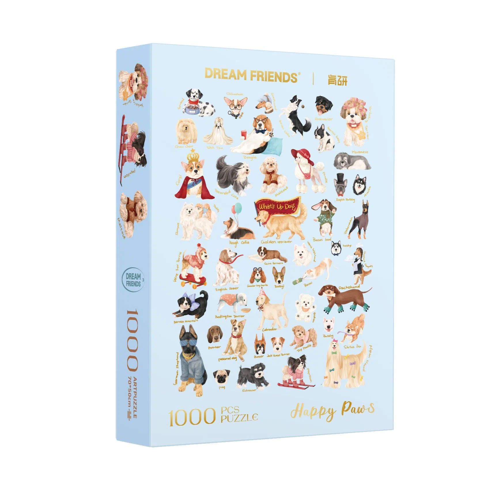 DREAM FRIENDS 1000pcs