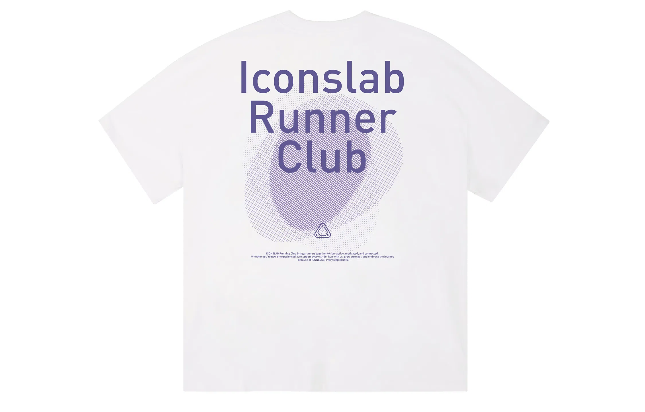 ICONS Lab ICS T
