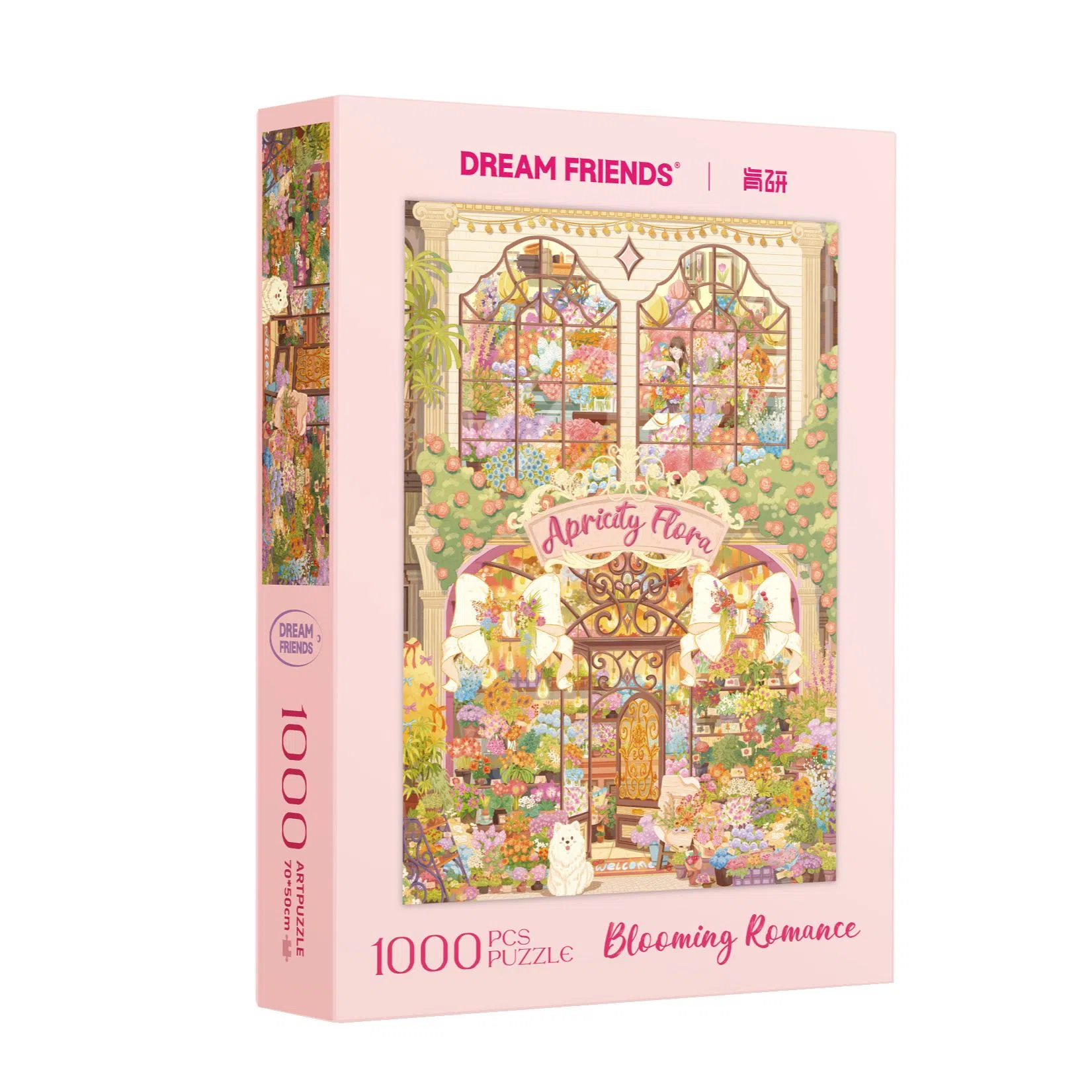 DREAM FRIENDS 1000pcs