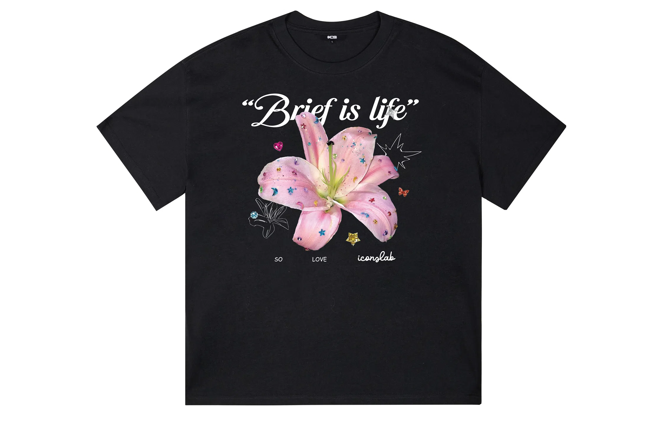 ICONS Lab ICS T