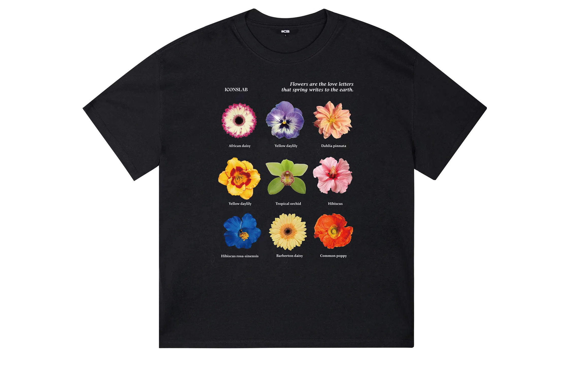 ICONS Lab ICS T