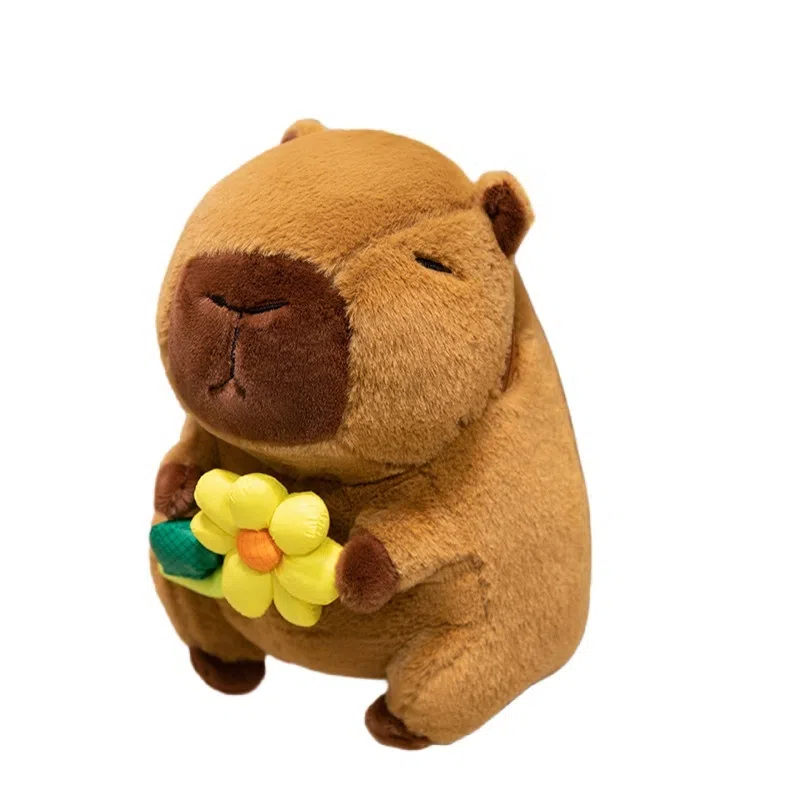 lionf 30cm