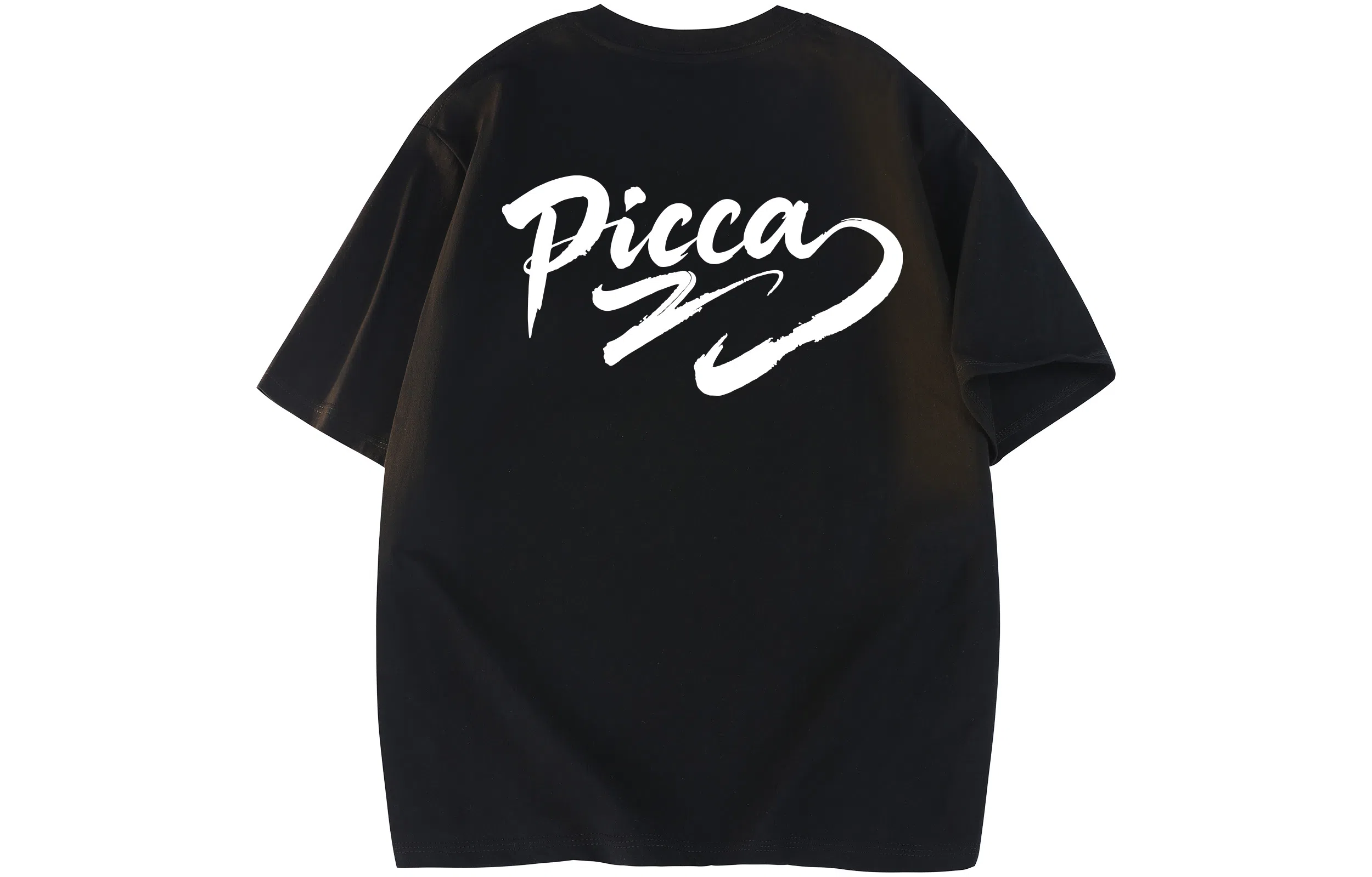 Picca logoT