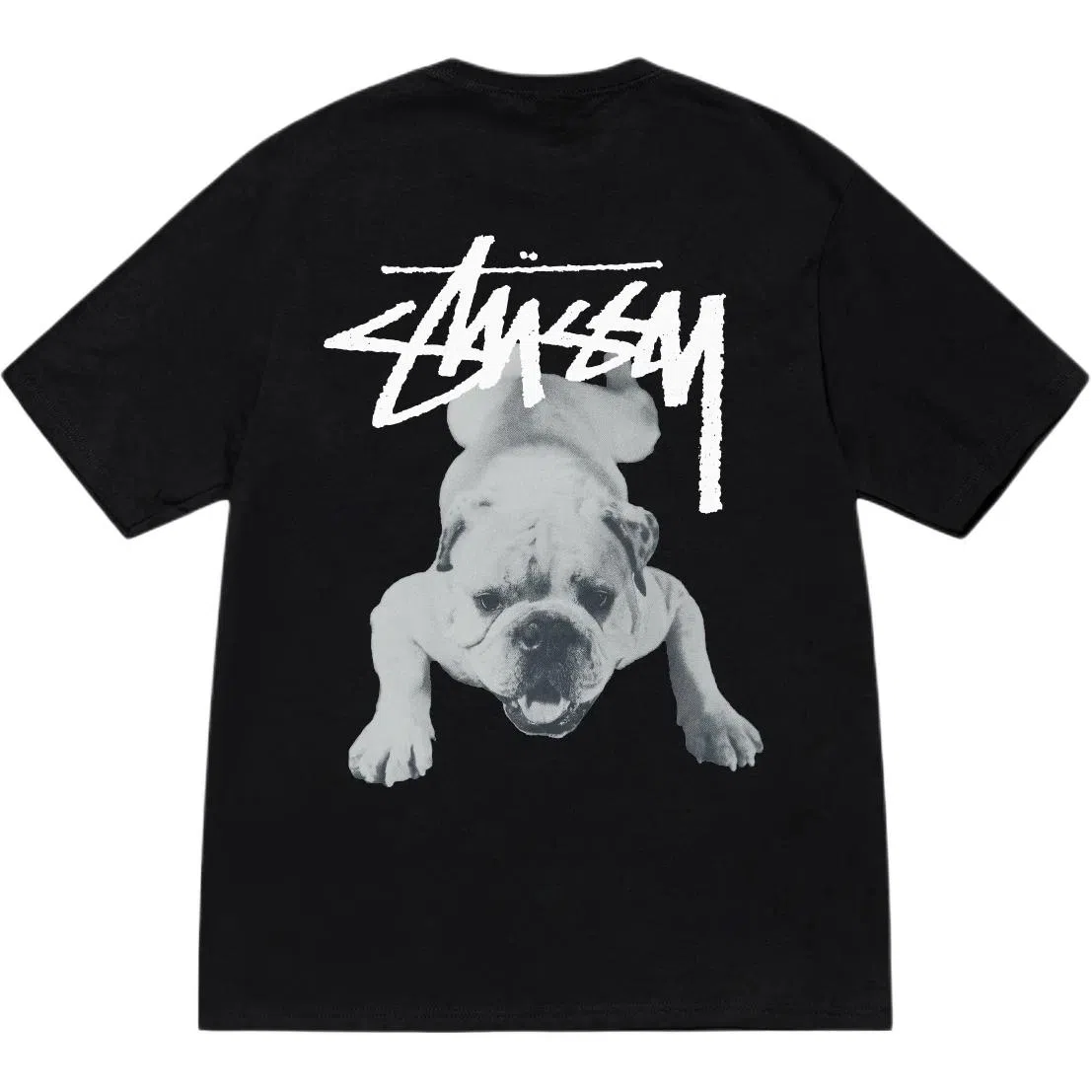 Stussy SS25 Stock Dog Tee