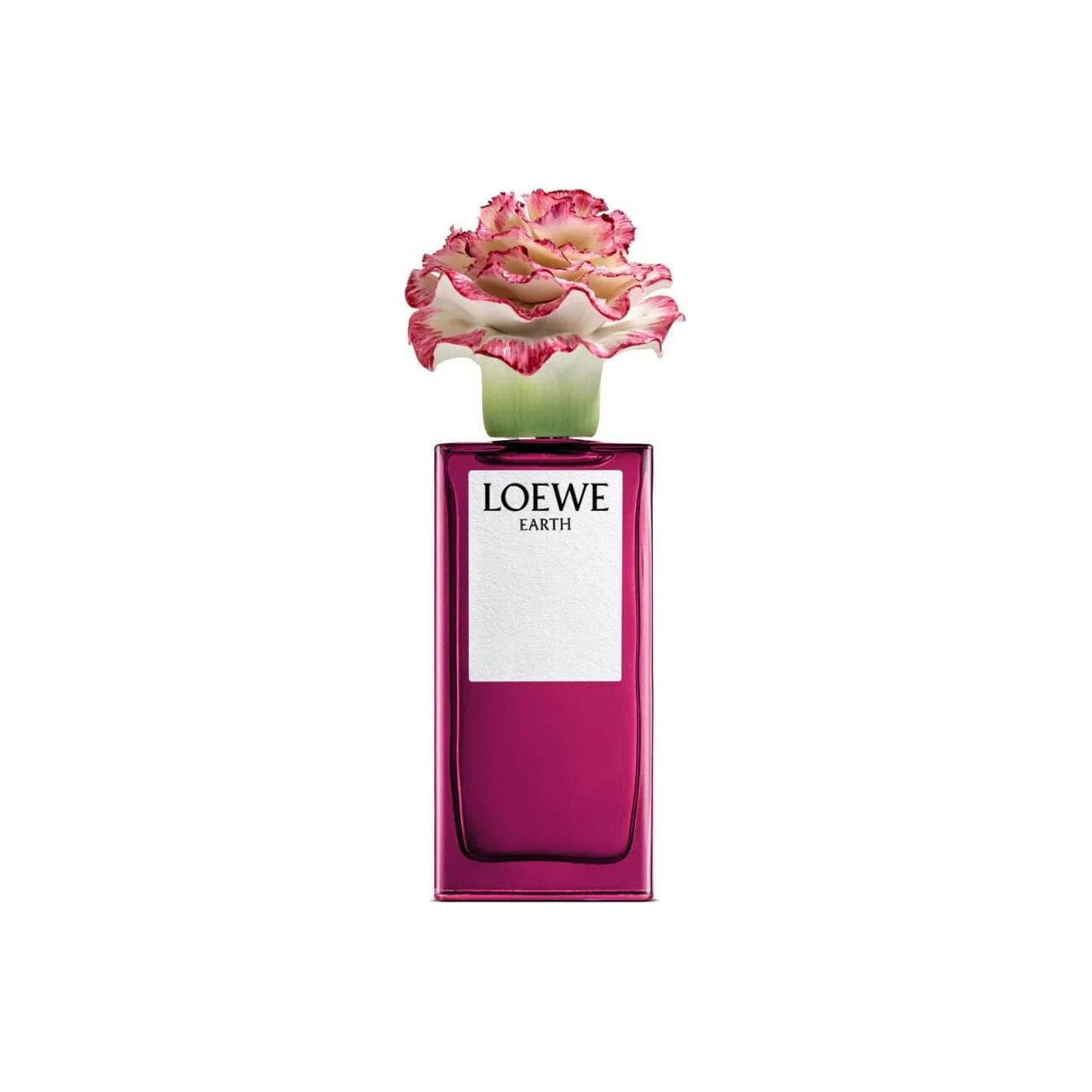LOEWE EDP 100ml