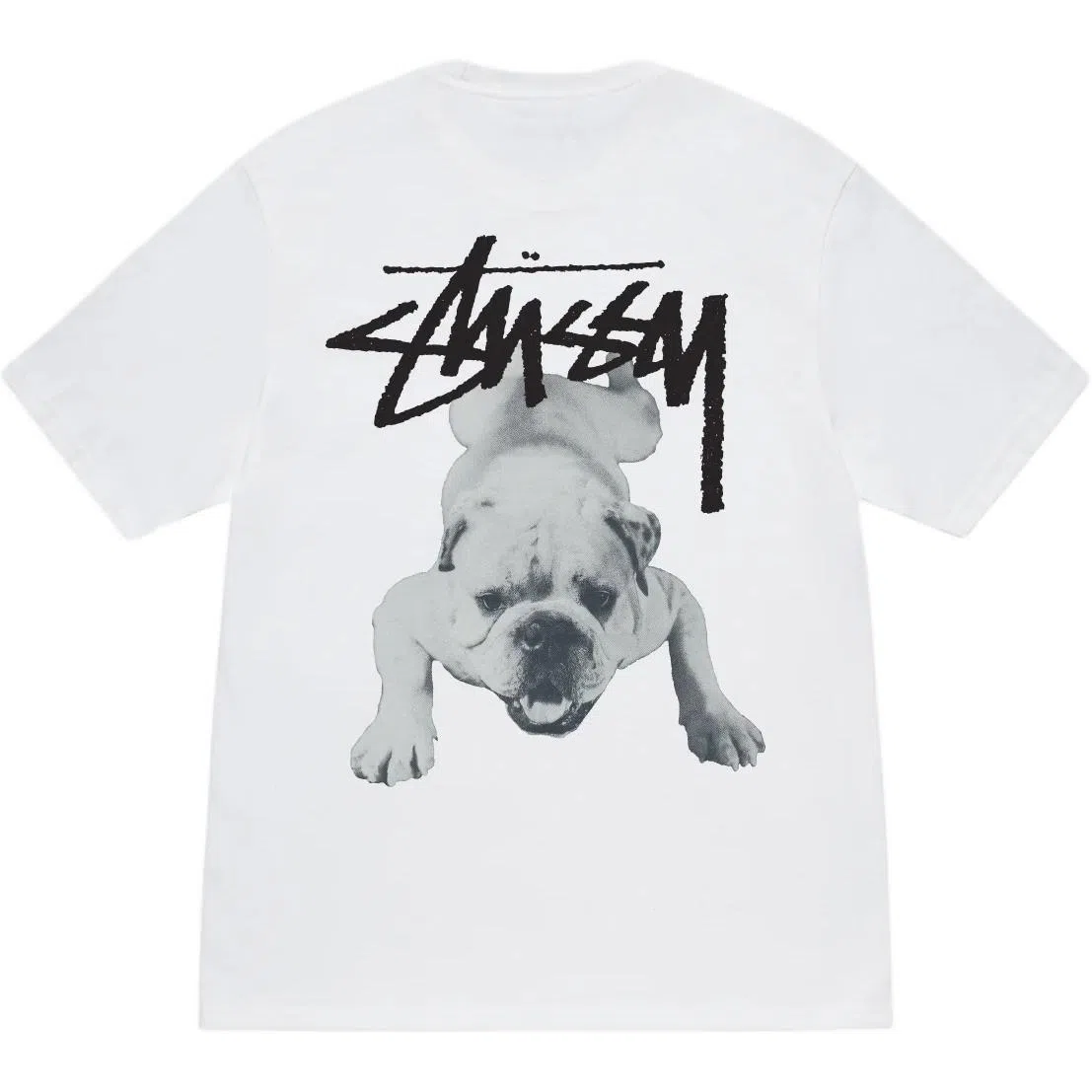 Stussy SS25 Stock Dog Tee