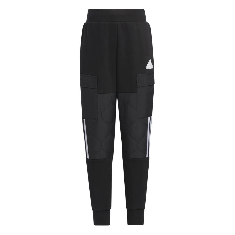 adidas Urban Outdoor Pants
