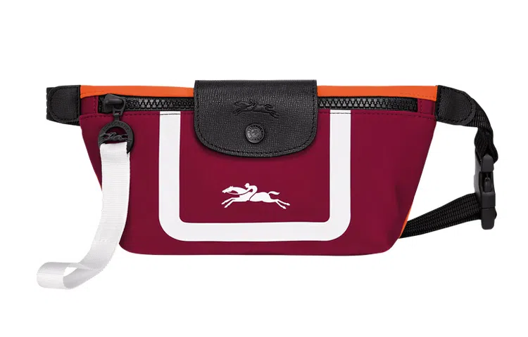LONGCHAMP Le Pliage 19