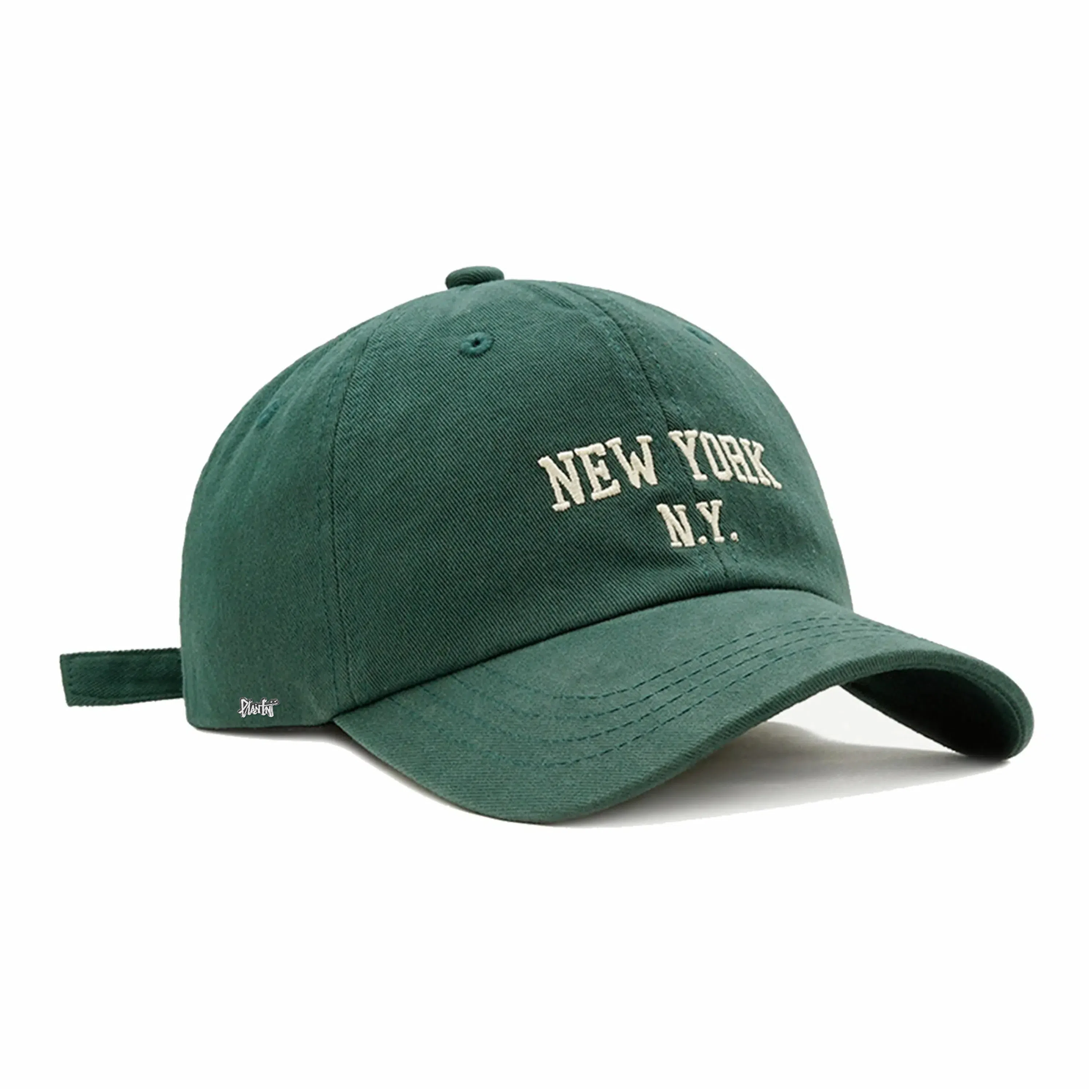 PLAN IN NEW YORK