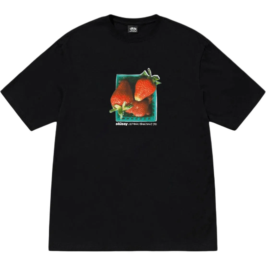 Stussy SS25 BERRIES TEE T