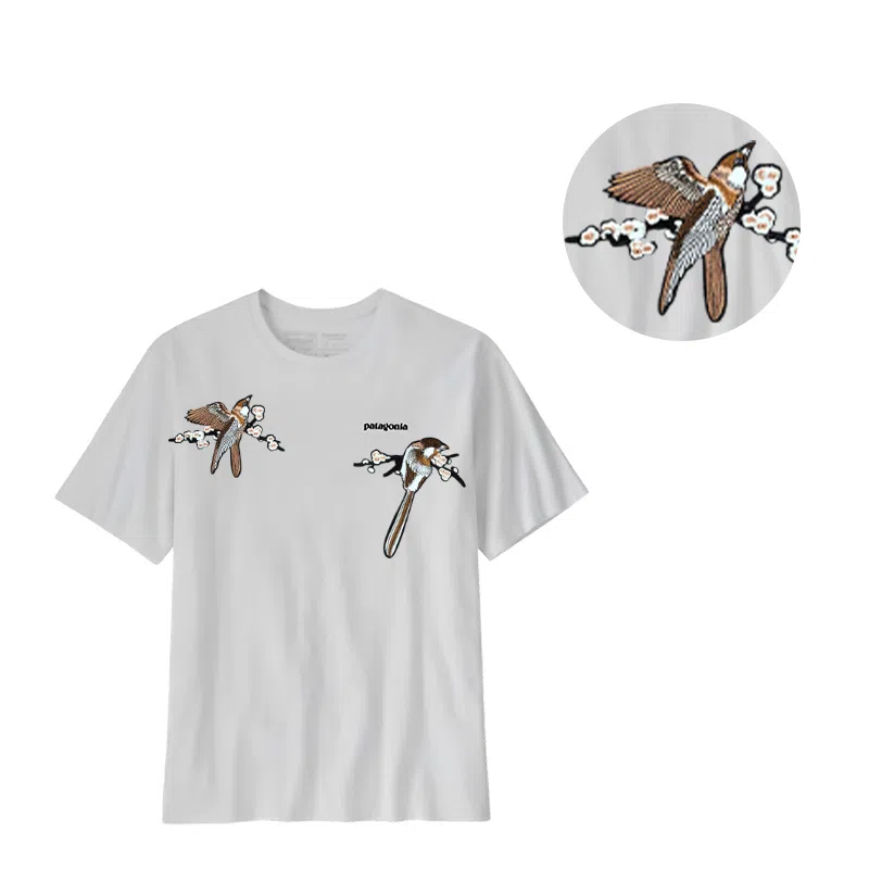 patagonia T