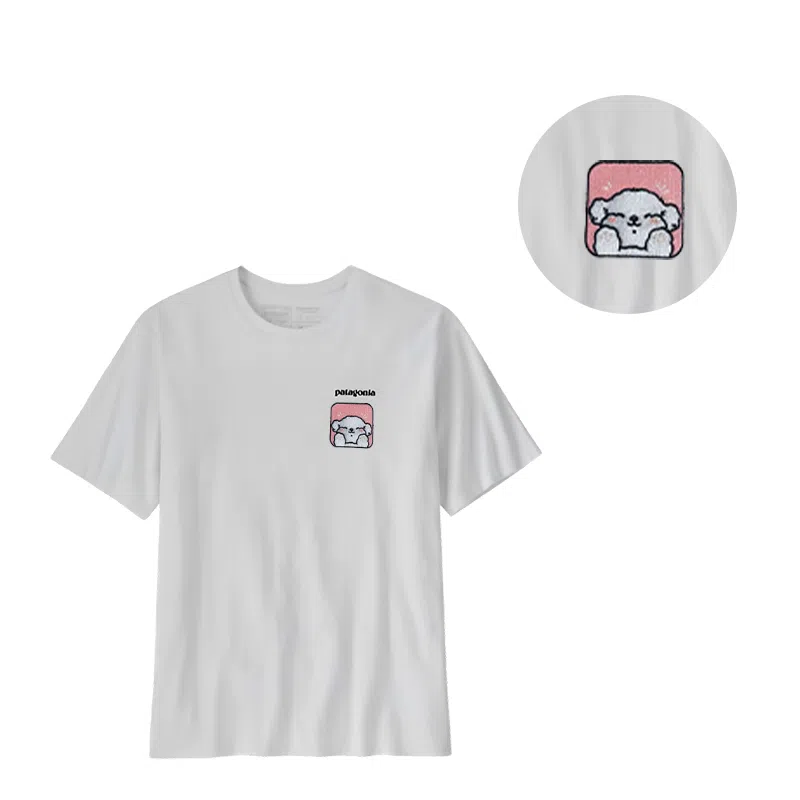 patagonia ResponsibiliT