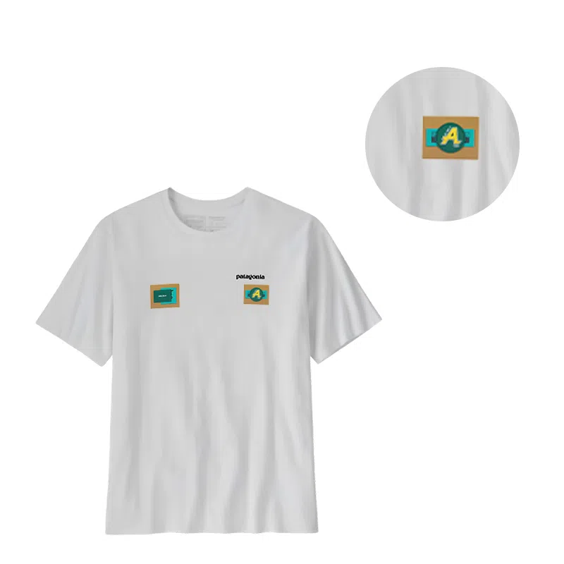 patagonia T