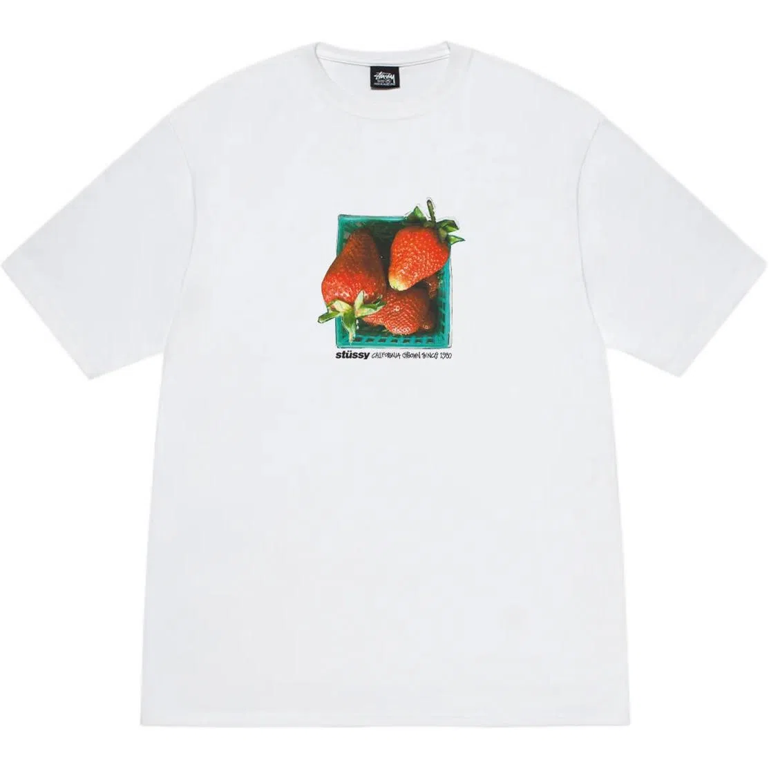 Stussy SS25 BERRIES TEE T