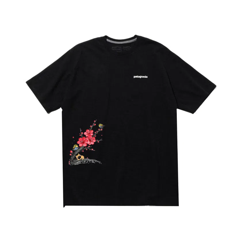 patagonia ResponsibiliT