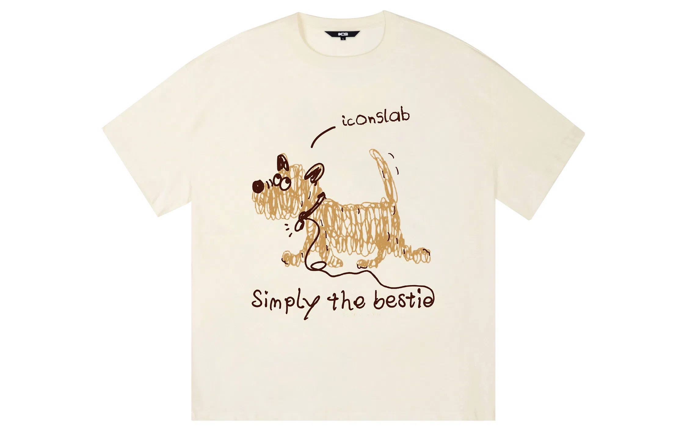 ICONS Lab ICS T