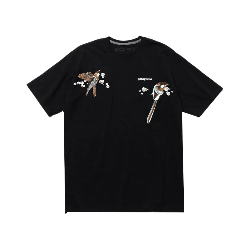 patagonia T