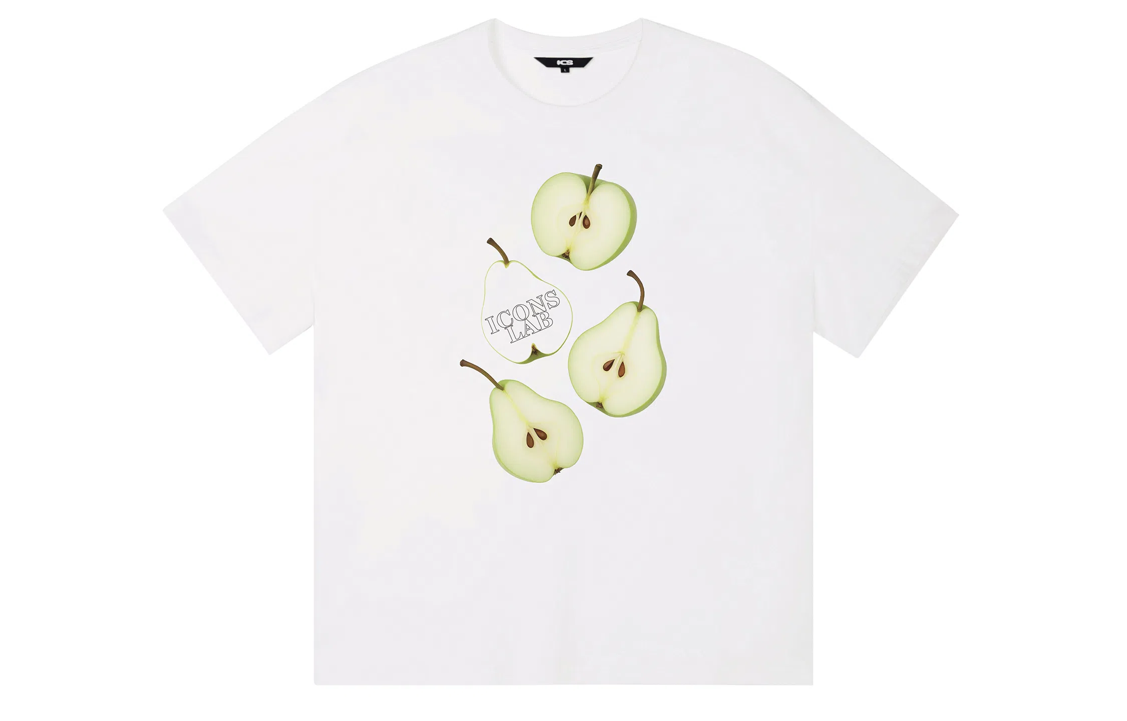 ICONS Lab ICS T