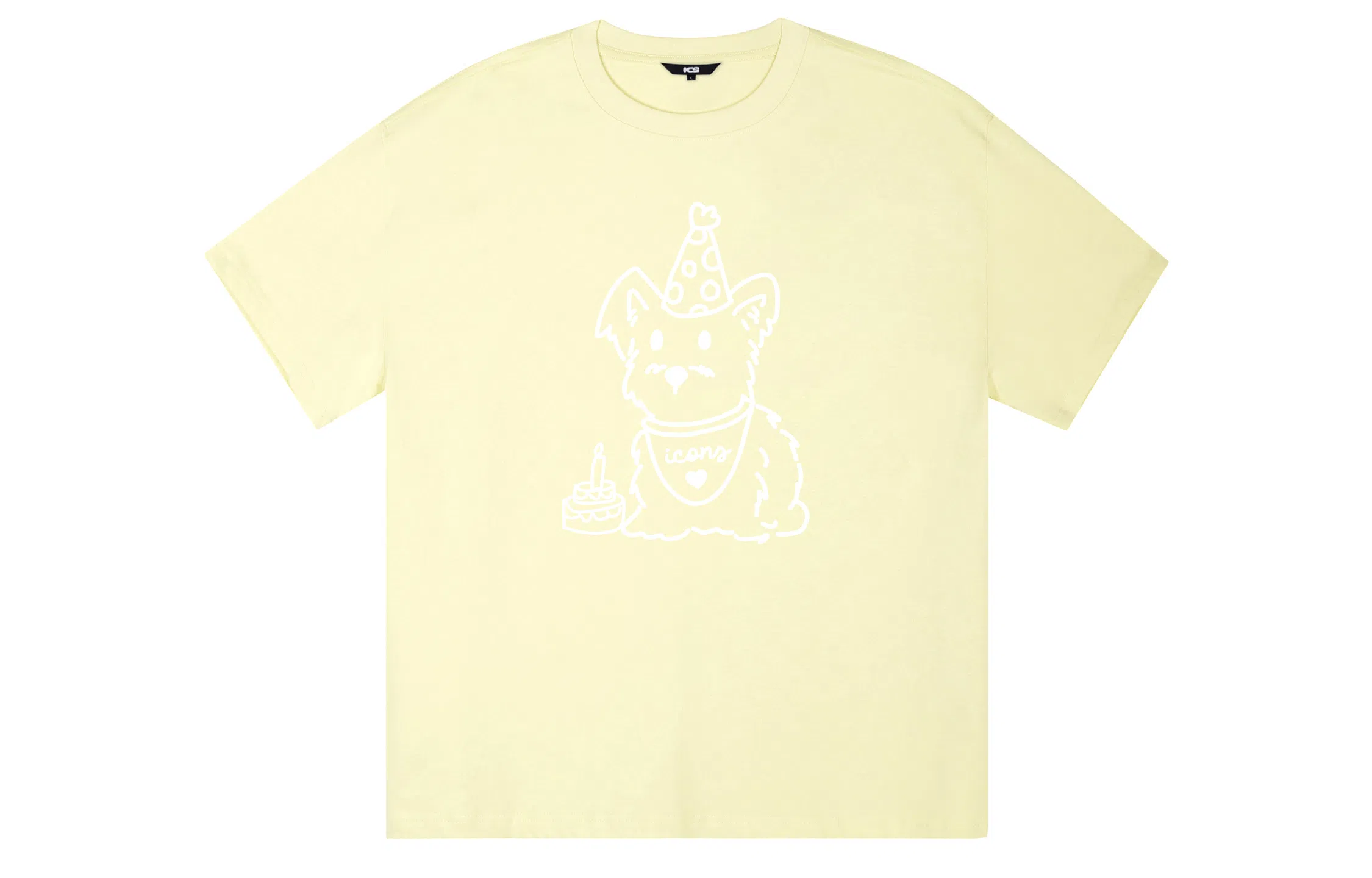 ICONS Lab T